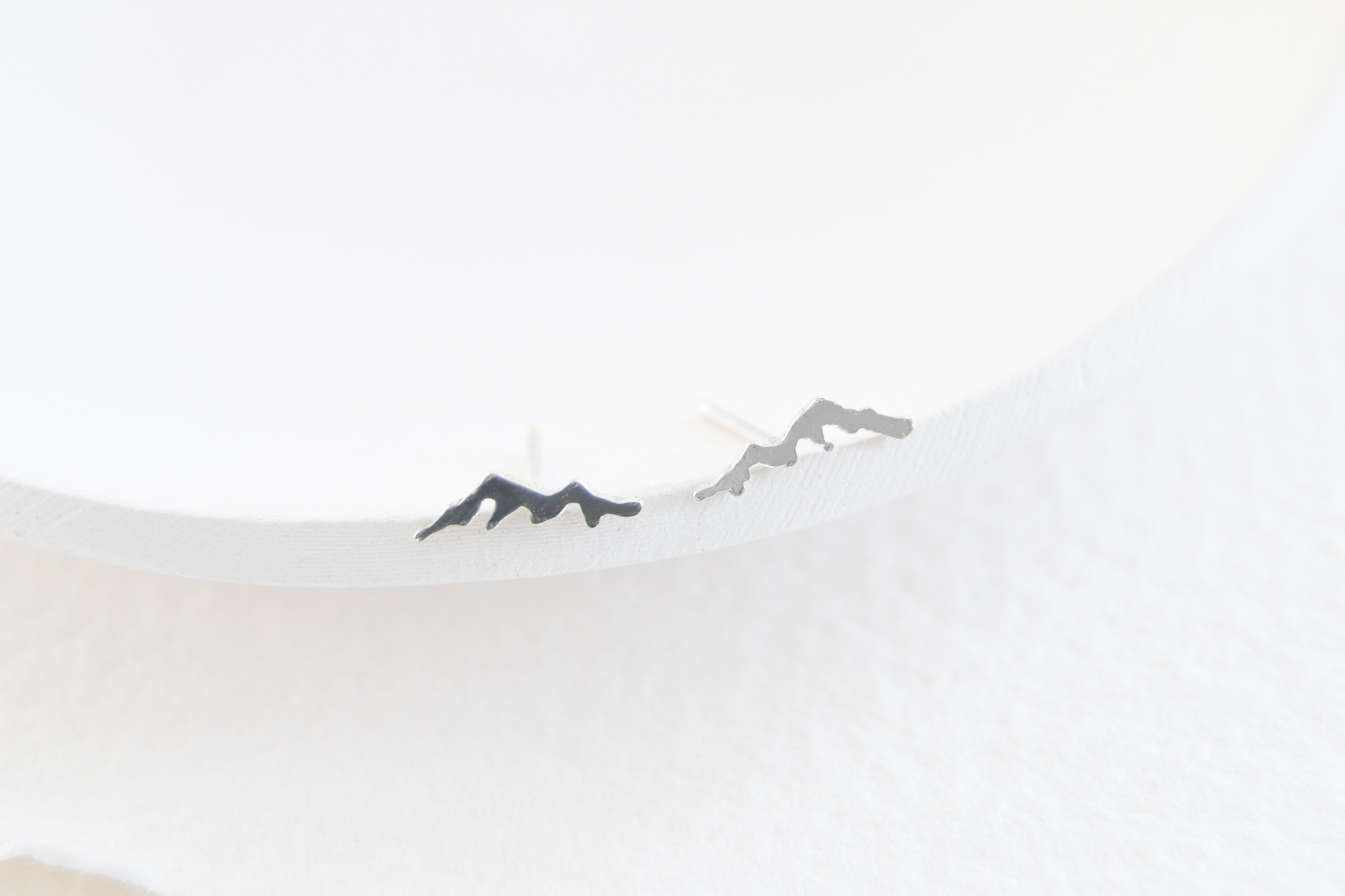 Two tiny mountain studs sitting on the edge of a ring dish.